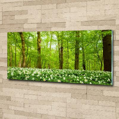 Foto glasbild Blumen im Wald