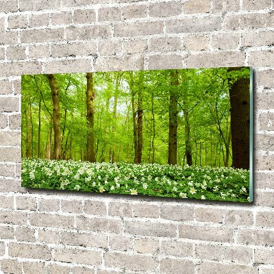 Foto glasbild Blumen im Wald