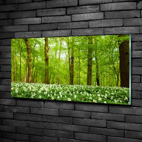 Foto glasbild Blumen im Wald