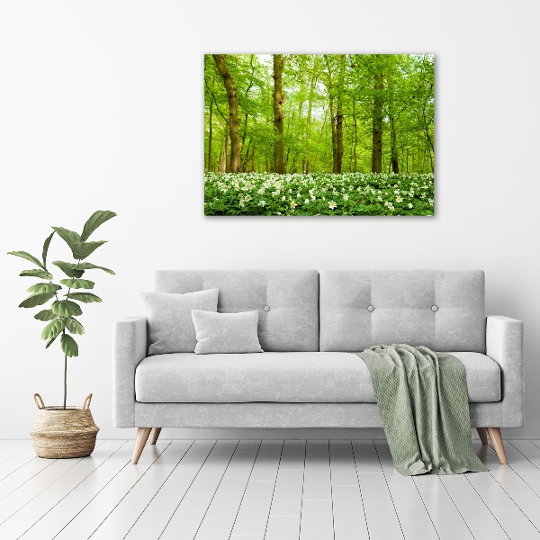 Foto glasbild Blumen im Wald
