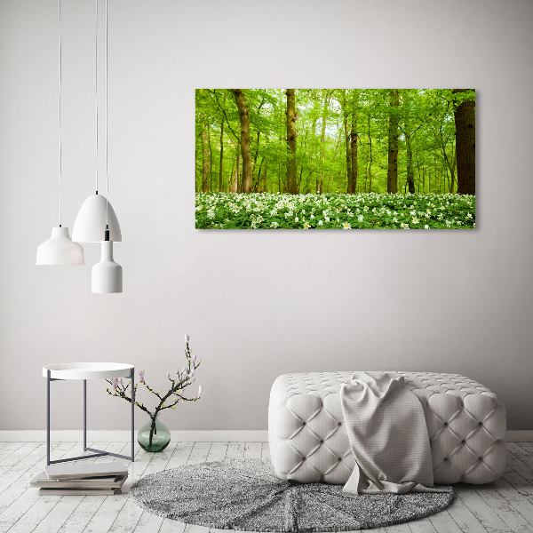Foto glasbild Blumen im Wald