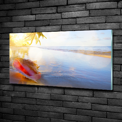Foto glasbild Eine Muschel am Strand
