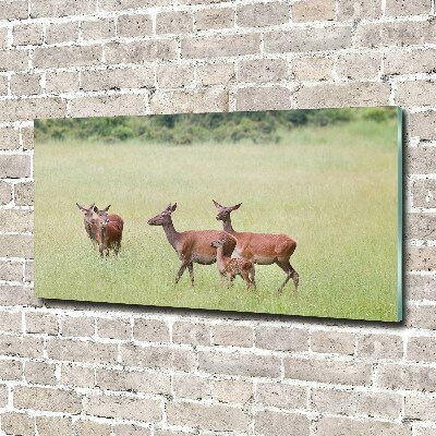 Glasbild Reh mit Jungtieren