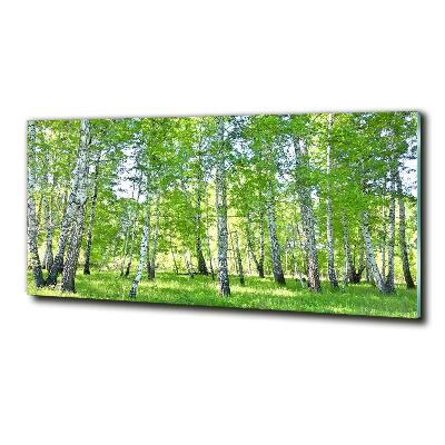 Bild auf glas Birken