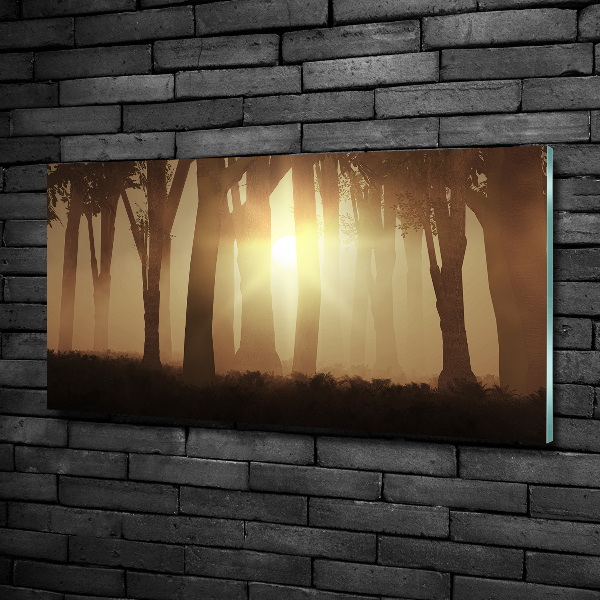 Glasbild Nebel im Wald