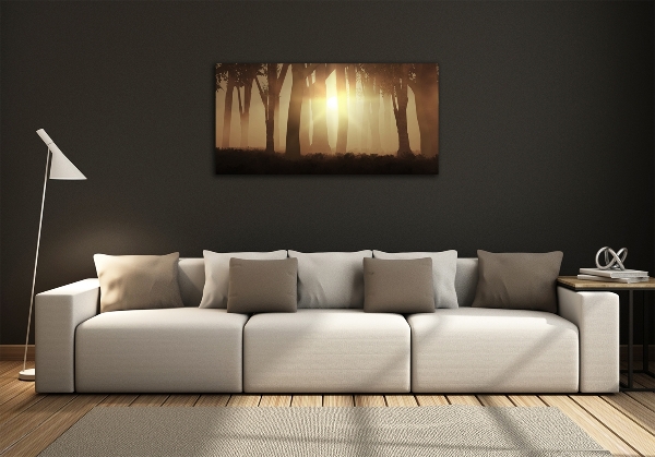 Glasbild Nebel im Wald