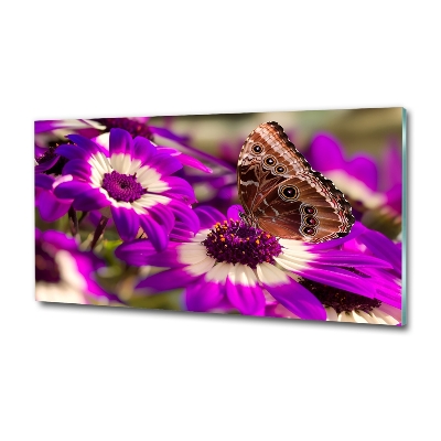 Bild auf glas Schmetterling auf einer Blume