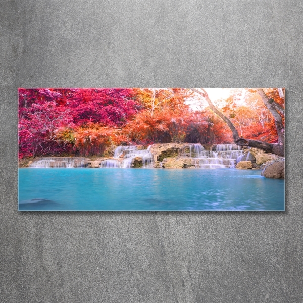 Glasbild Wasserfall im Wald