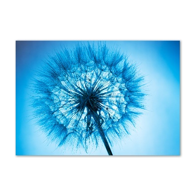 Bild auf glas Löwenzahn
