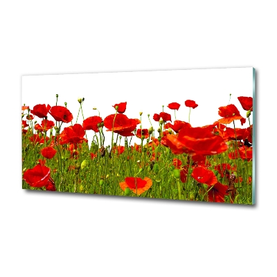 Bild auf glas Feldmohn