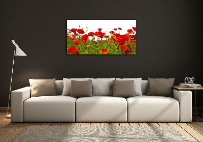 Bild auf glas Feldmohn
