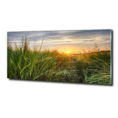 Foto glasbild Weizenfeld