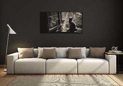 Foto glasbild Katzen am Fenster