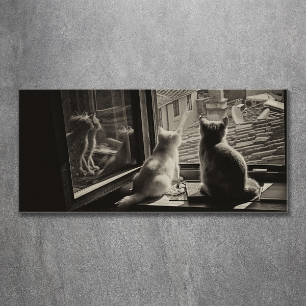 Foto glasbild Katzen am Fenster