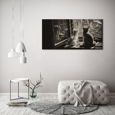 Foto glasbild Katzen am Fenster