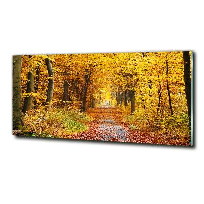 Foto glasbild Wald im Herbst