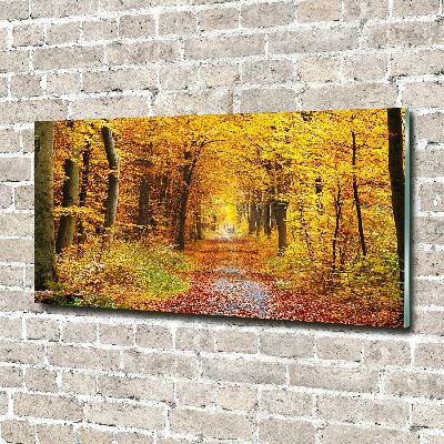 Foto glasbild Wald im Herbst