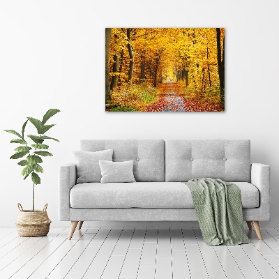 Foto glasbild Wald im Herbst