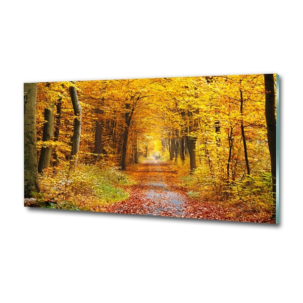 Foto glasbild Wald im Herbst