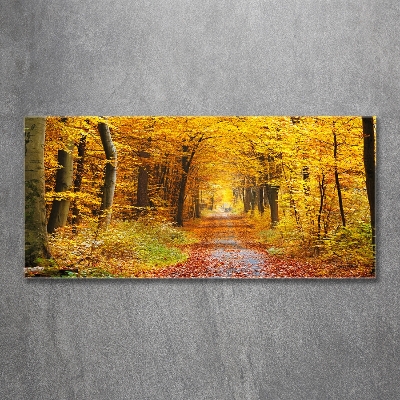 Foto glasbild Wald im Herbst