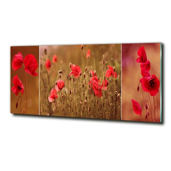 Bild auf glas Mohnblumen-Triptychon
