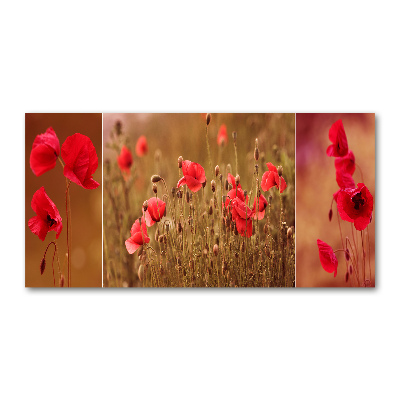 Bild auf glas Mohnblumen-Triptychon