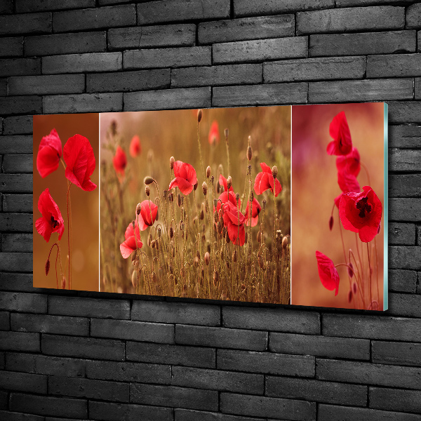 Bild auf glas Mohnblumen-Triptychon