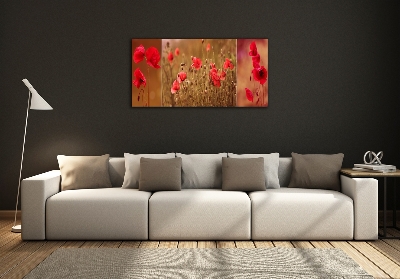 Bild auf glas Mohnblumen-Triptychon