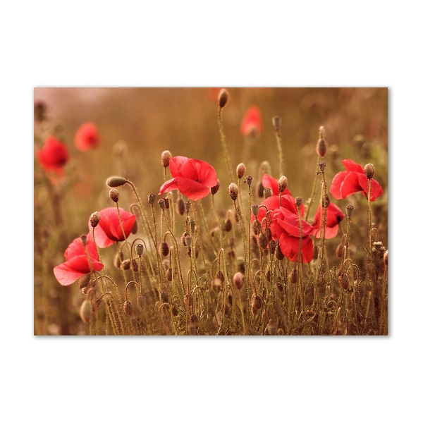 Bild auf glas Mohnblumen-Triptychon