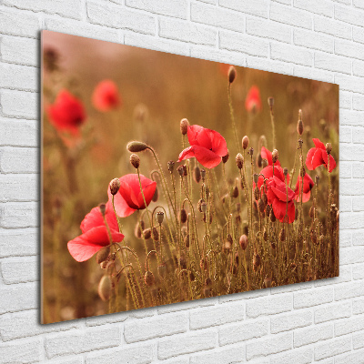 Bild auf glas Mohnblumen-Triptychon