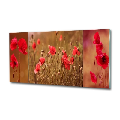 Bild auf glas Mohnblumen-Triptychon