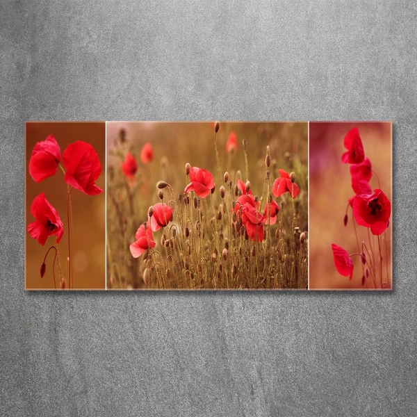 Bild auf glas Mohnblumen-Triptychon
