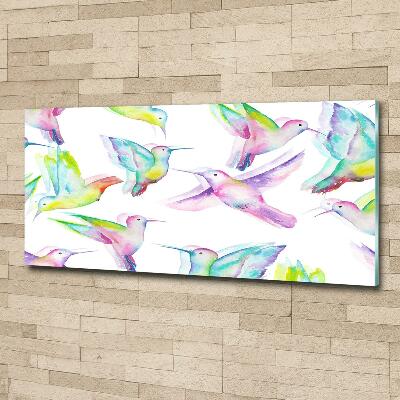 Bild auf glas Kolibris