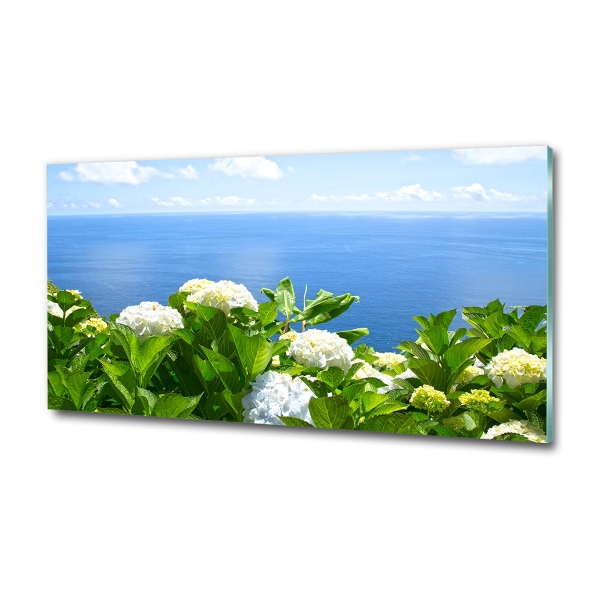 Bild auf glas Blumen am Meer
