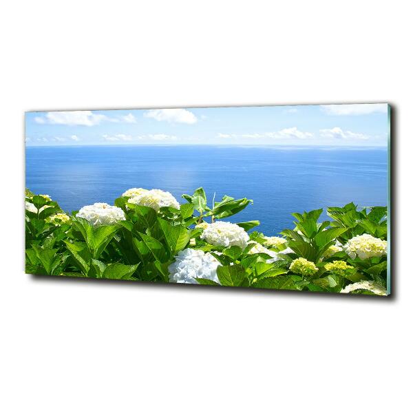 Bild auf glas Blumen am Meer