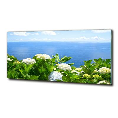 Bild auf glas Blumen am Meer