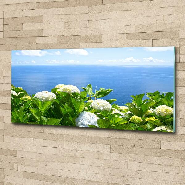 Bild auf glas Blumen am Meer