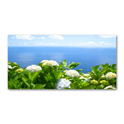 Bild auf glas Blumen am Meer