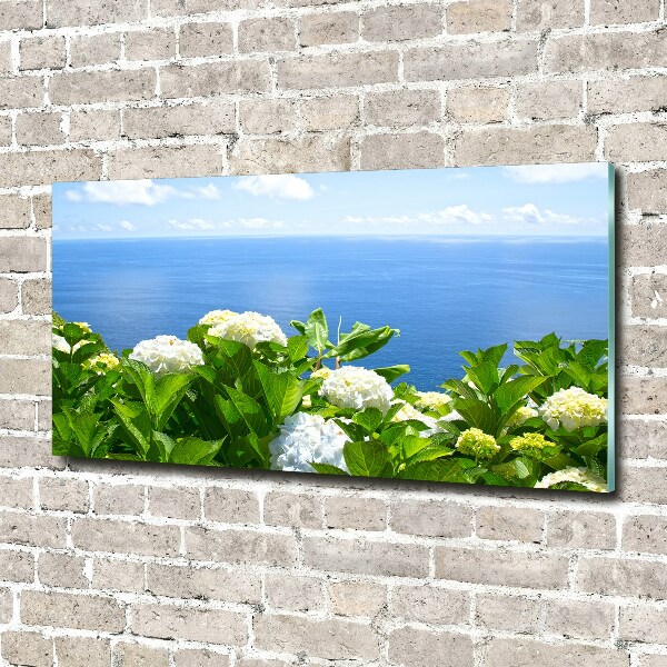 Bild auf glas Blumen am Meer