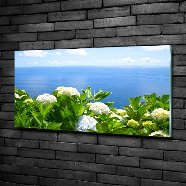 Bild auf glas Blumen am Meer