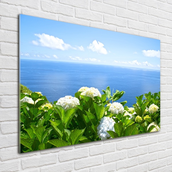 Bild auf glas Blumen am Meer