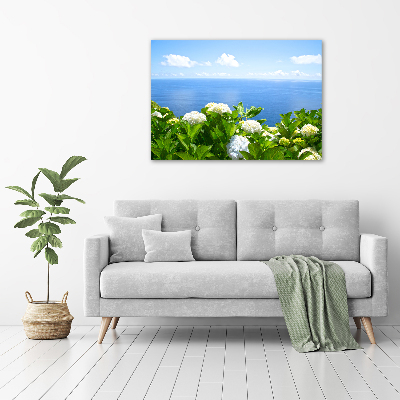 Bild auf glas Blumen am Meer