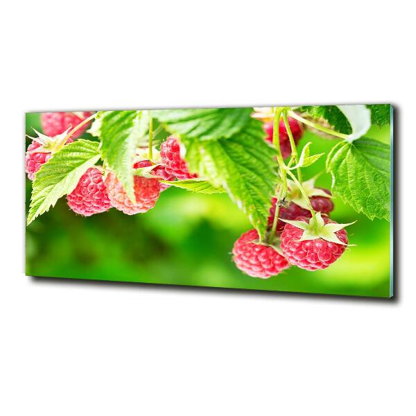 Foto glasbild Himbeeren im Garten