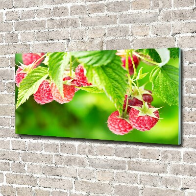 Foto glasbild Himbeeren im Garten
