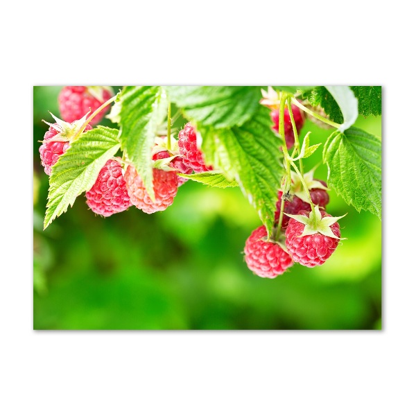 Foto glasbild Himbeeren im Garten