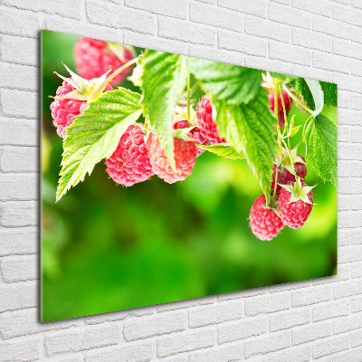 Foto glasbild Himbeeren im Garten