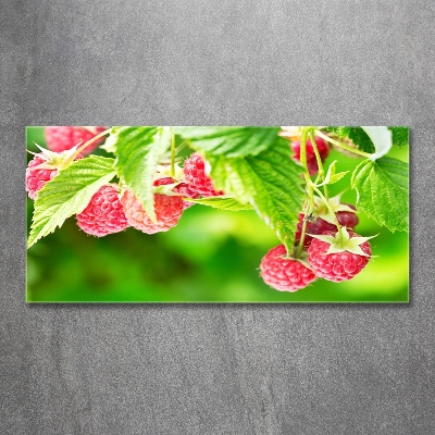 Foto glasbild Himbeeren im Garten