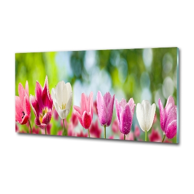 Bild auf glas Tulpen