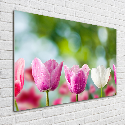 Bild auf glas Tulpen