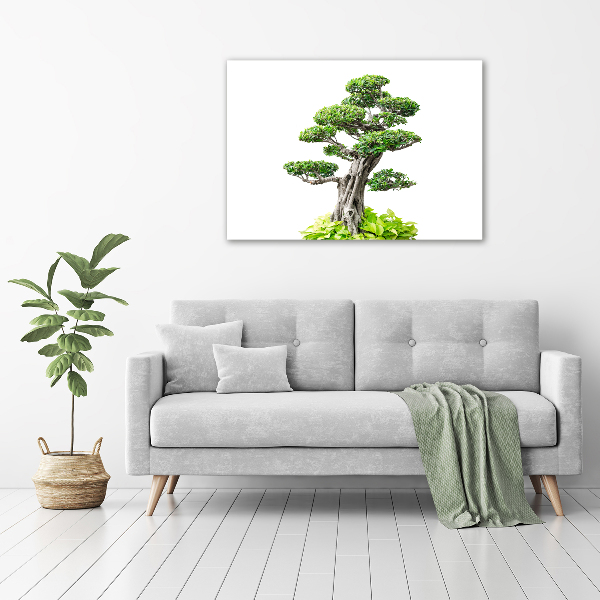 Glasbild Bonsai-Baum